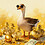 Goose